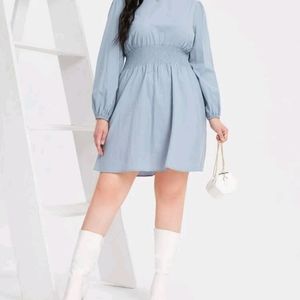Lantern Sleeve Shirred Waist Dress